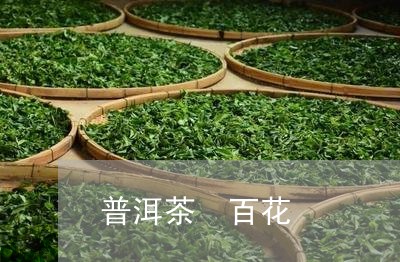 普洱茶 百花/2023042754660